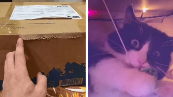 Horeca is nog steeds gesloten, maar Felix kan gewoon keihard feesten