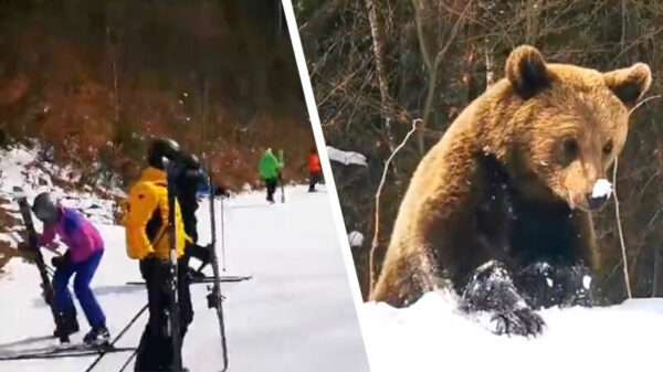 Bij deze ski-instructeur leert zelfs de grootste brombeer fatsoenlijk skiën