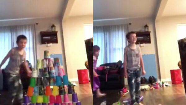 2,5 uur secuur bouwen verpest door je irritante zusje