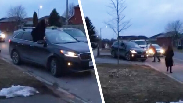 Aanrijding ontaardt in hit 'n run in Amerikaanse woonwijk