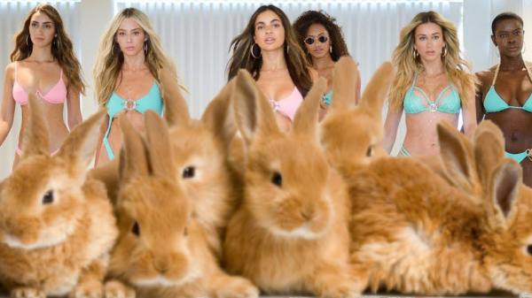 Eerste rang zitten bij de Beach Bunny Swimwear Fashion Show 2021