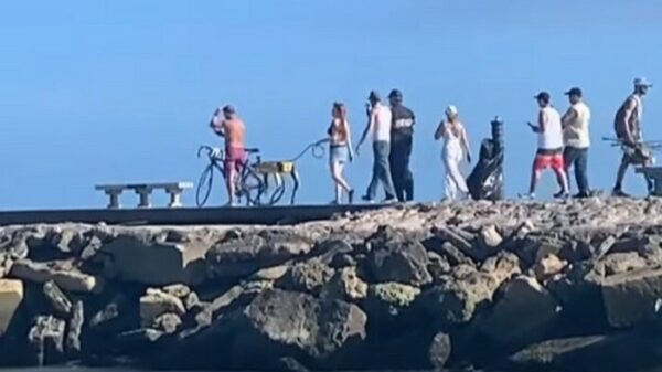 Vrouw heeft behoorlijk wat bekijks als ze haar hond van $75.000 uitlaat