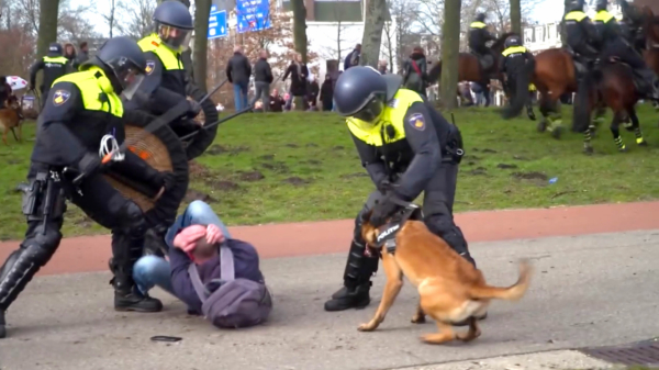 Recap: Haagse politie slaat met veel geweld demonstranten van 't Malieveld