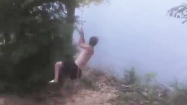 Pas op, soms staat er een boom in de weg