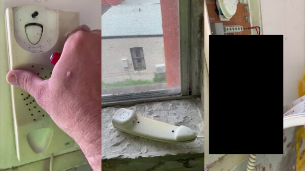 Een heleboel nopenopenope in een telefoon