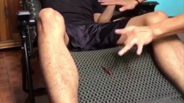 Oh wacht maar, ik ploink die kakkerlak wel even aan de kant