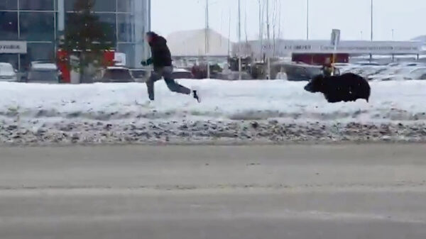 Ondertussen in Rusland, deel 69420