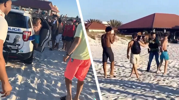 Spring Breakers helpen geboeide feestganger ontsnappen tijdens arrestatie