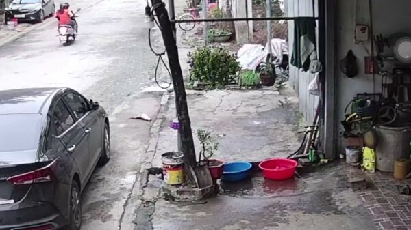 Vis wil geen soepje worden en weet op ingenieuze manier te ontsnappen