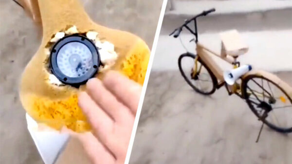 Innovatief antidiefstalsysteem: de balzaksloper 3000