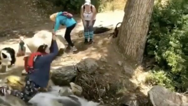 Tante Truus gaat met d'r vriendinnen een middagje de natuur in