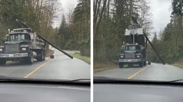 Canadese dames laten enorme paal liever niet te dicht in hun buurt komen