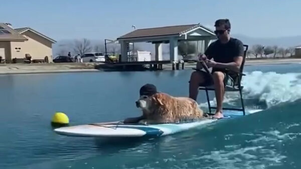 Fikkie zit al volle bak in de chillmodus