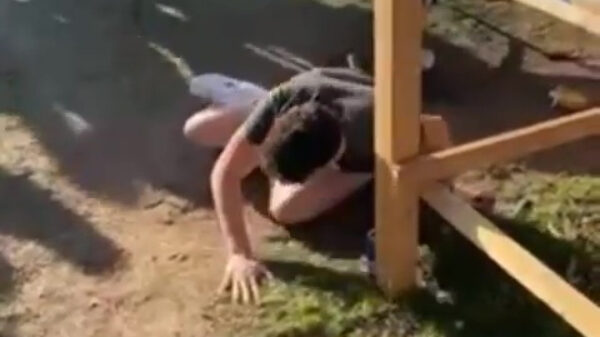 Legend has it dat zijn staartbotje nog steeds niet geheeld is