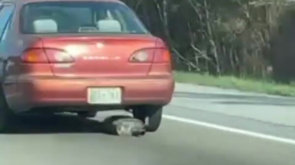 Even je uitlaat uitlaten