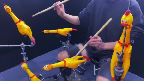 Met wat rubber kippen knutsel je een alleraardigst drumstel in elkaar