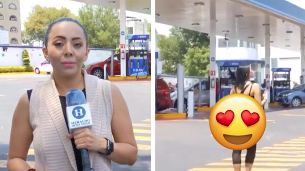 Deze cameraman heeft zijn prioriteiten prima op orde