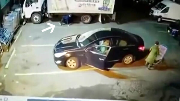 Pas op voor die ordinaire winkelwagentruc waarbij je handtasje wordt gejat