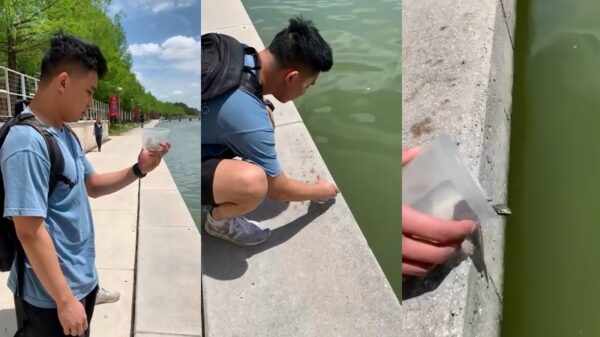 Gast besluit zijn schildpad vrij te laten en de wijde wereld in te sturen