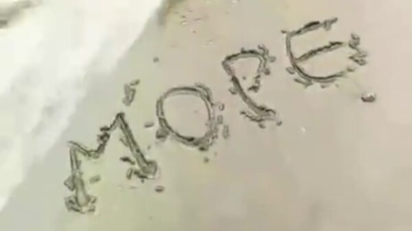 Even een idyllisch momentje aan de Russische zee