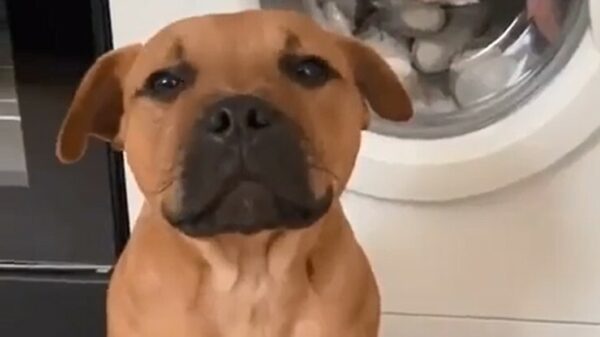 Awwww. Neeee, geef Iejoor terug