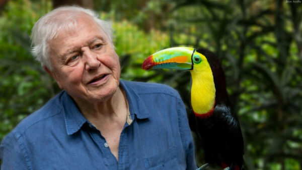 De trailer van de nieuwe Netflix-docu 'Life in Color with David Attenborough' ziet er geniaal uit