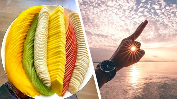 20 uiterst bevredigende OCD-pics omdat het weekend is