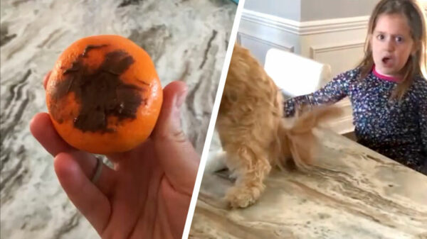 Dochter wordt door haar ouders getrakteerd op een bruine vinger