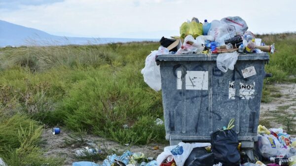 Als ze je weer eens vraagt om de vuilnis buiten te zetten