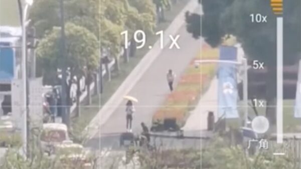 Echte viespeuken genieten van de 50x zoom op de Huawei P30 Pro