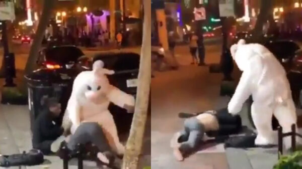 Soms komt de paashaas geen eitjes, maar een flinke portie klappen uitdelen