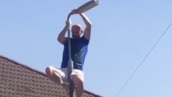 Engelse lantaarnpaalklimmer heeft weinig kaas gegeten van zwaartekracht