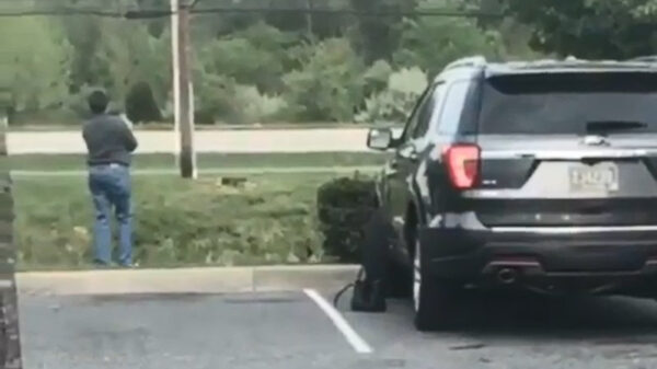 Kortpittig kapsel is uit haar auto gestapt om wat ganzen te fotograferen