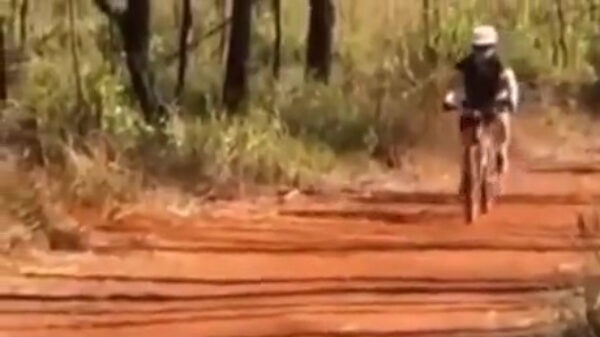 Kijk mij eens even dit bruggetje oversteken