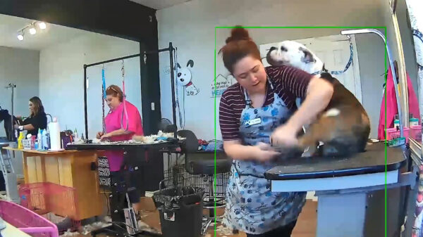 Brutus heeft geen zin zijn nagels te laten knippen en heeft andere plannen