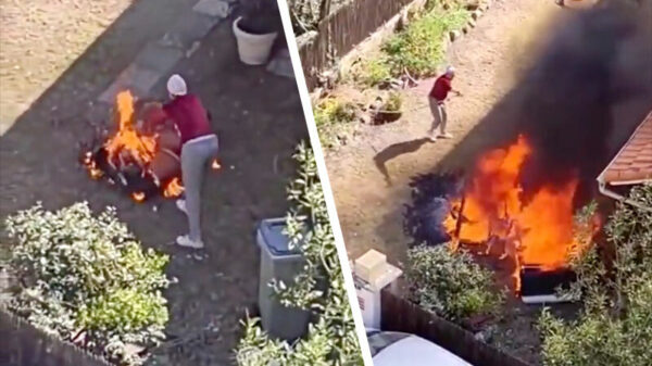 Huisvrouw gaat iets té rigoureus te werk tijdens de grote voorjaarsschoonmaak