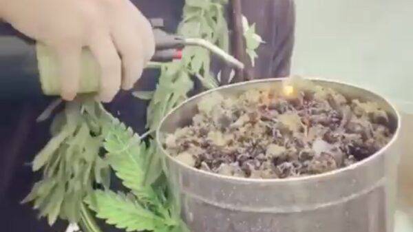 Even de dag afsluiten met een lekker wietstampertje