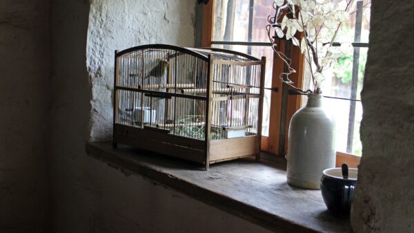 Als zelfs je huisdier helemaal gestoord van je wordt