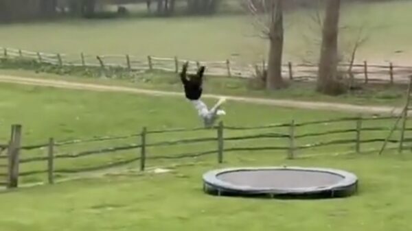 Wedden dat ik makkelijk via de trampoline over dit hek spring?!