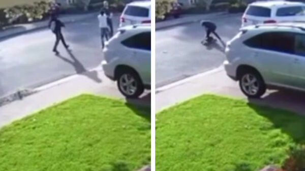 Jonge overvaller pakt de verkeerde en wordt keihard gebodyslammed