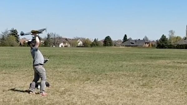 Wiens carrière zien we hier?