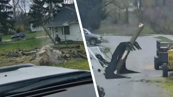 Bobcatbestuurder maakt vangbal van de eeuw