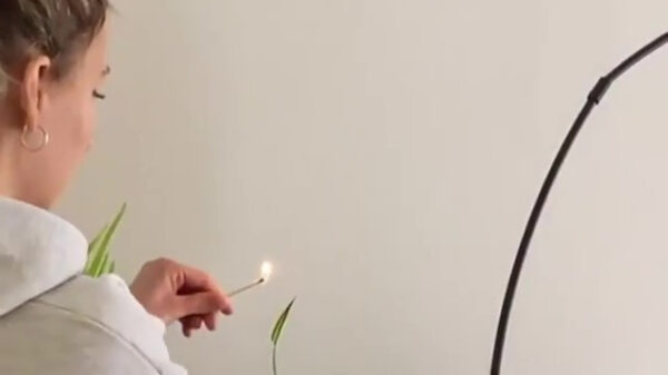 Helder licht snapt lucifers niet