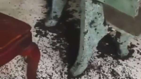 Op een termietenplaag als deze zit niemand te wachten; Hans get ze Flammenwerfer!