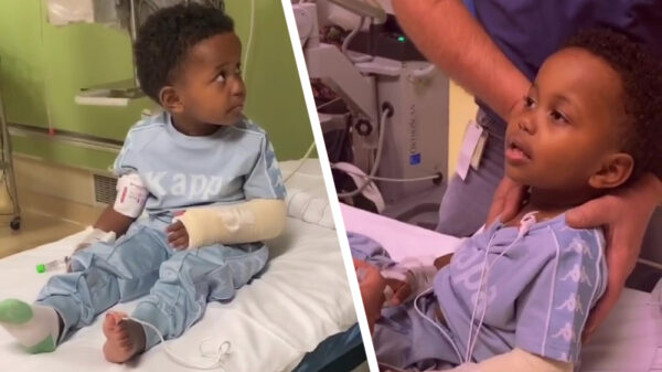 Koter voert een dapper en hilarisch gevecht tegen de narcose