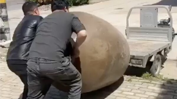 Dit is dé techniek om een levensgrote vaas te vervoeren