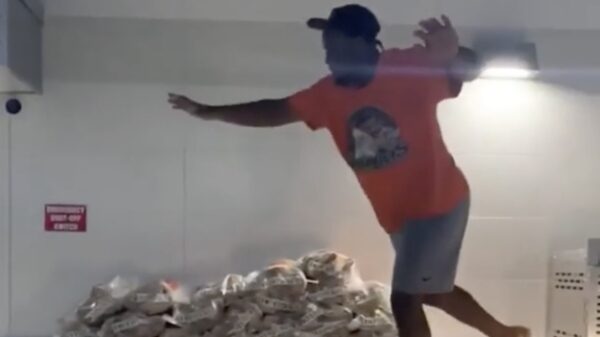 Dappere dodo heeft het paaldansen nog niet helemaal onder controle