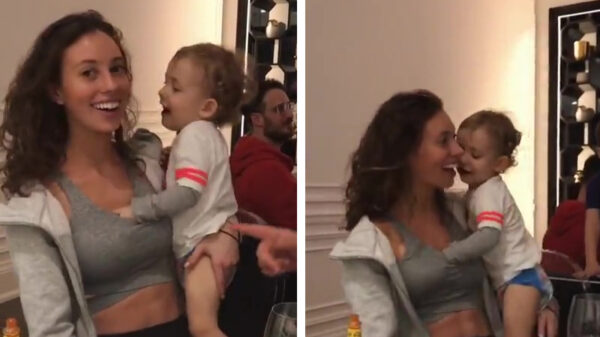 Oude doos: koter checkt even wat tante Anja allemaal in huis heeft