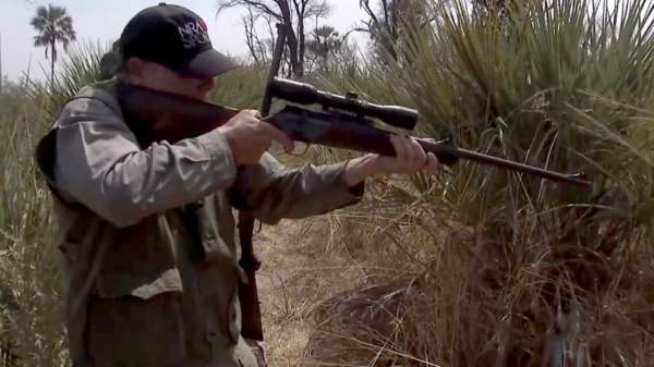 Dikke vette ophef om NRA-topman die lekker olifantjes schiet in Botswana