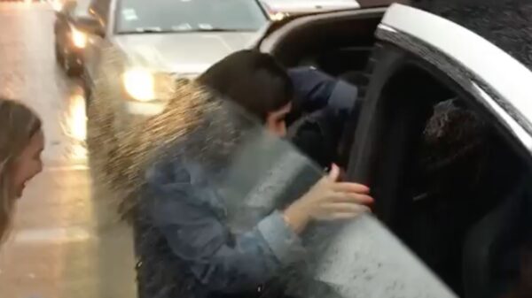 Niet de beste manier om in een Tesla te stappen